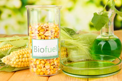 Dyke biofuel availability